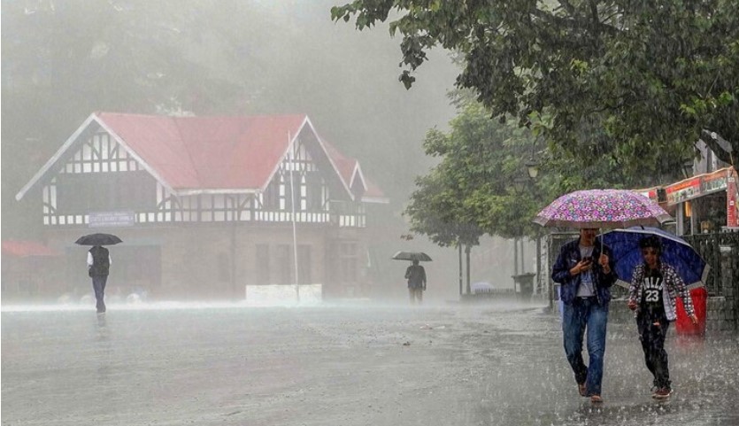 shimla rain