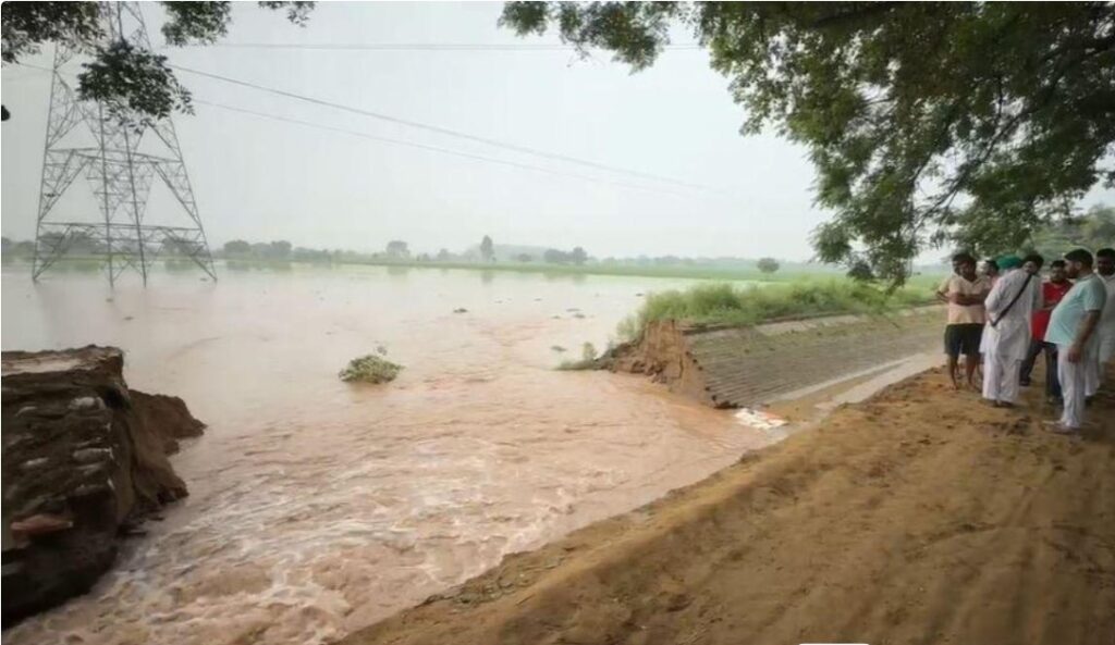 bathinda