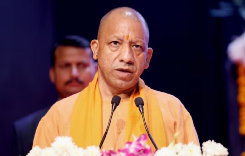yogi