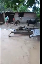 01_09_2025-2fd8bed5-e5db-4c83-8008-ae063deb909c_9524110