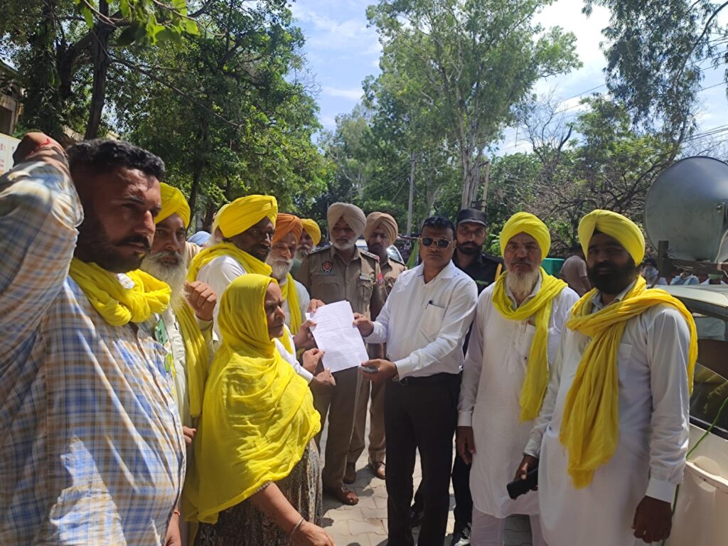 WhatsApp Image 2025-09-05 at 5.31.46 PM