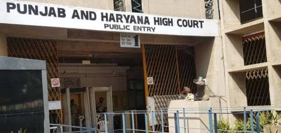 WhatsApp Image 2025-09-08 at 4.19.38 PM