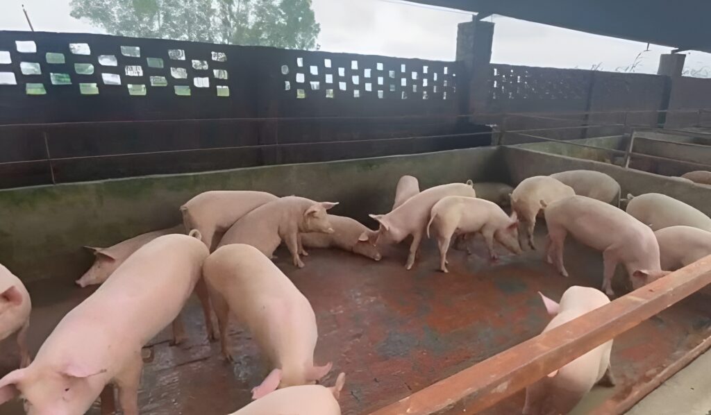 WhatsApp Image 2025-09-11 at 6,52,25 PM-Picsart-AiImageEnhancer