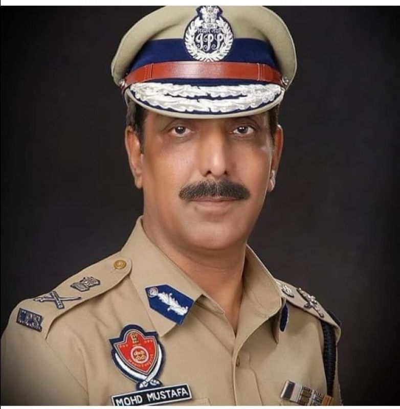 dgp mutafa