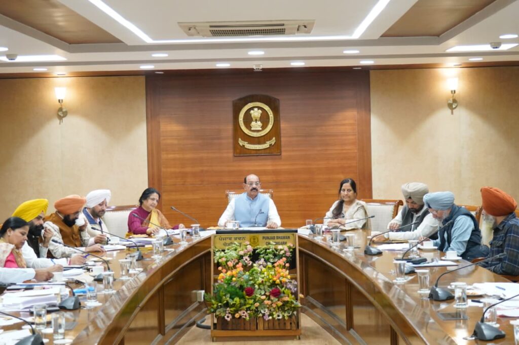 WhatsApp Image 2025-11-13 at 6.00.42 PM