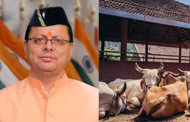 Screenshot 2026-01-19 202834