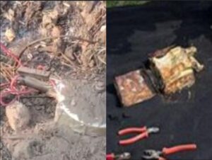 2c244e5c-09d1-401f-b4c5-d71c46c4f686