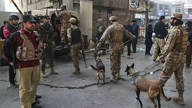 9e4568d8-5d06-4a1f-89dd-48613d48b78b