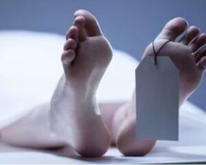 4e178916-700b-4fbb-bf9f-c921c60bf170