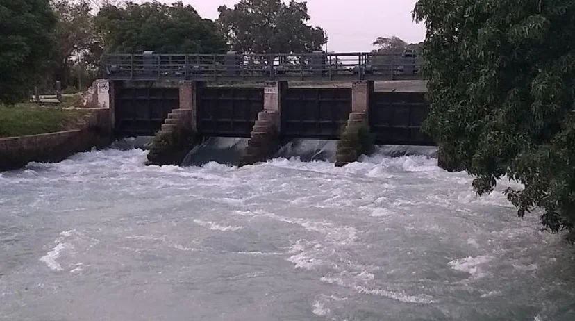 Water